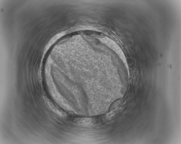 X0000086960104200705141636