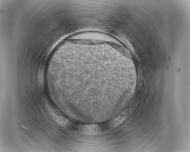 X0000086960108200705141636