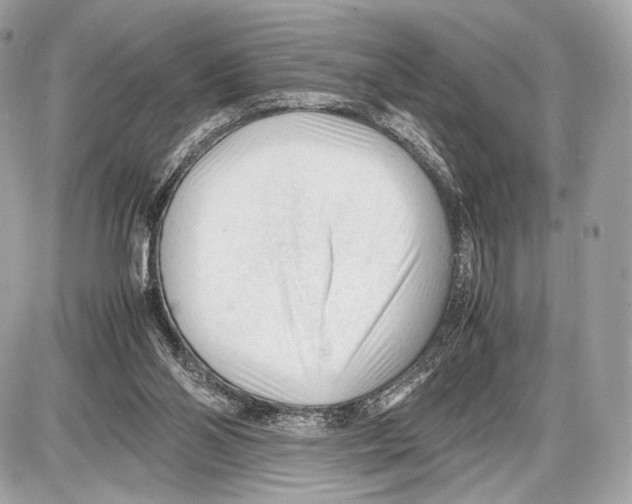 X0000086960110200705141636