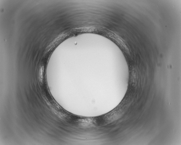 X0000086960118200705141635