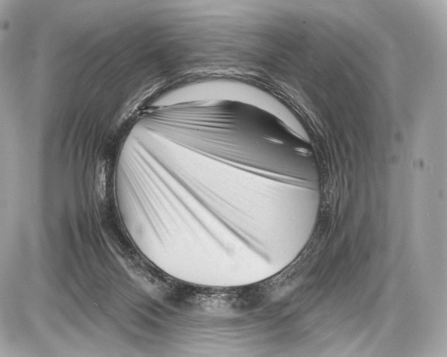 X0000086960120200705141635