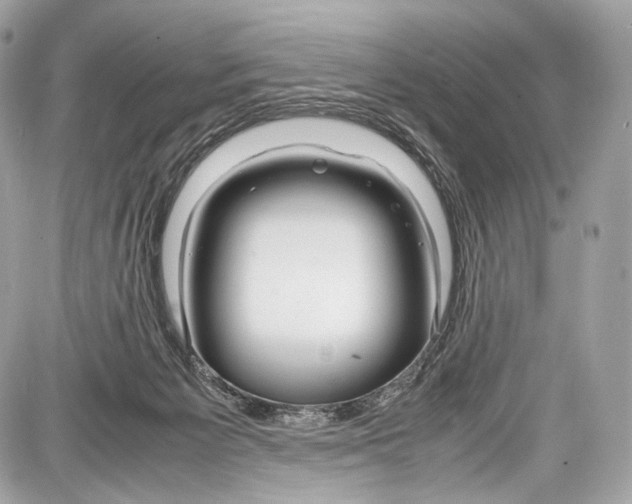 X0000086960125200705141635
