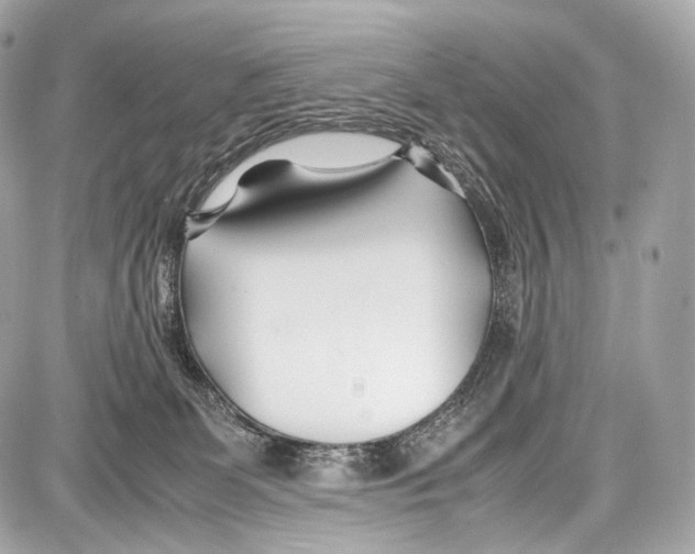 X0000086960131200705141635