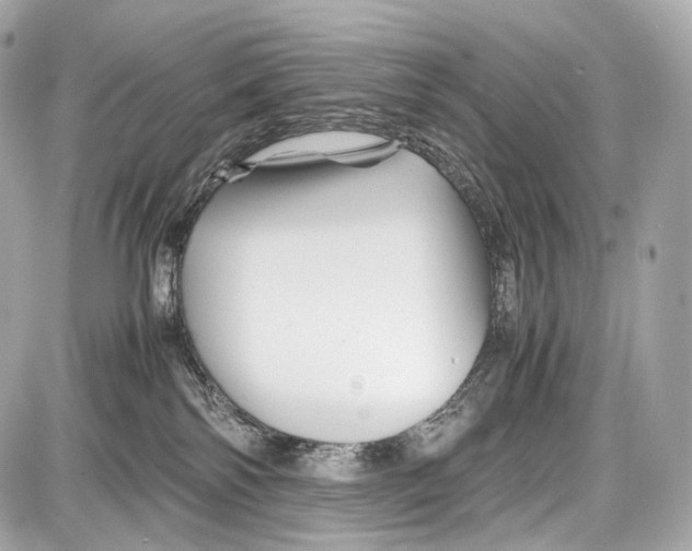 X0000086960138200705141635