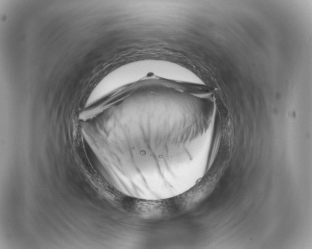 X0000086960139200705141635