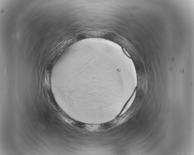 X0000086960143200705141635