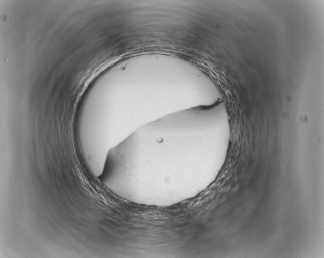 X0000086960146200705141634