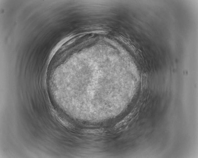 X0000086960147200705141634