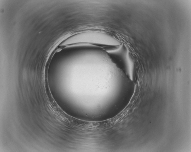 X0000086960148200705141634