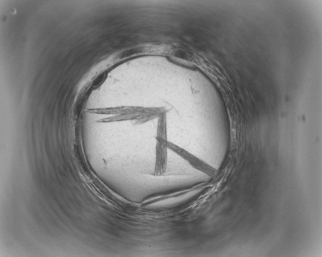 X0000086960149200705141634