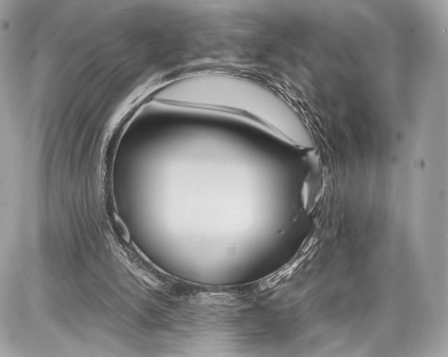 X0000086960150200705141634