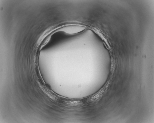 X0000086960151200705141634