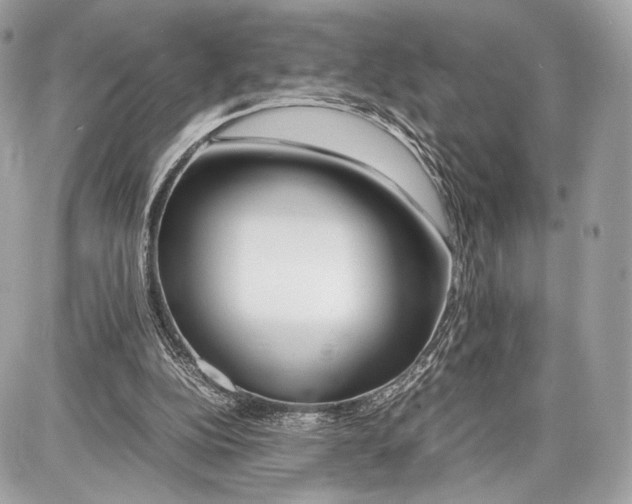 X0000086960152200705141634