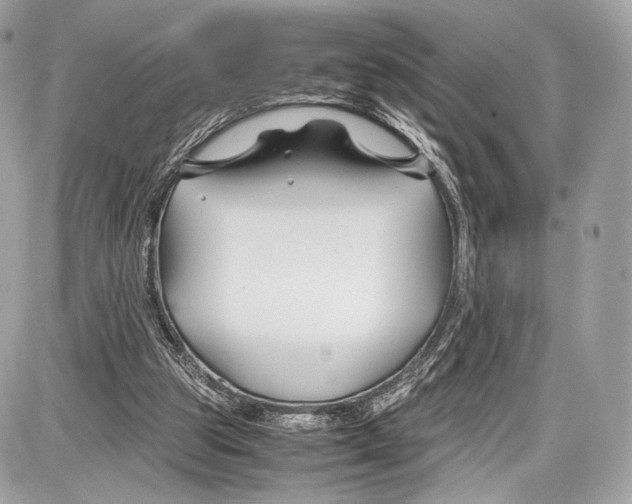 X0000086960153200705141634