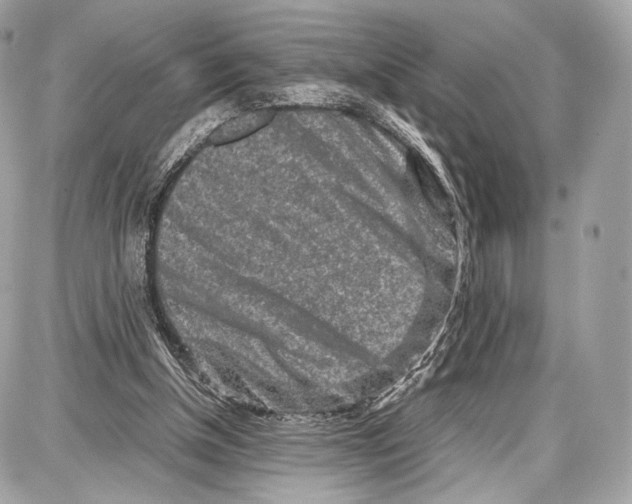 X0000086960154200705141634