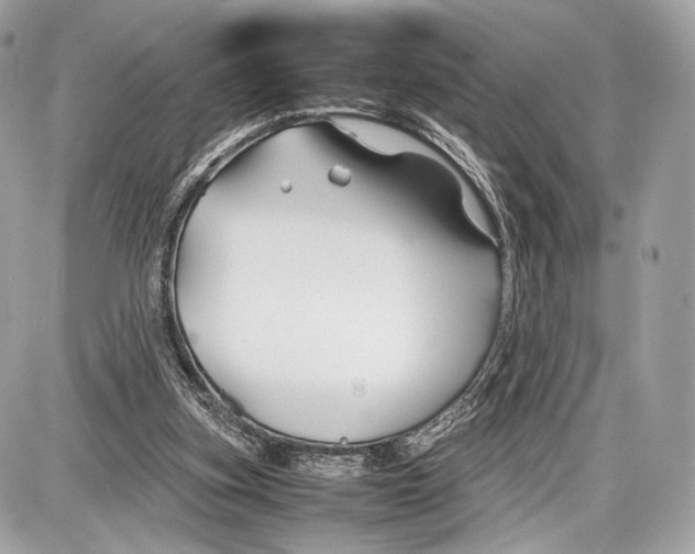 X0000086960155200705141634