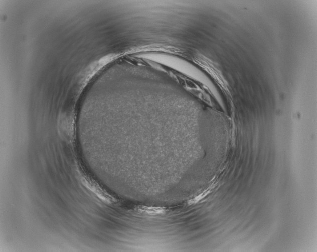 X0000086960156200705141634