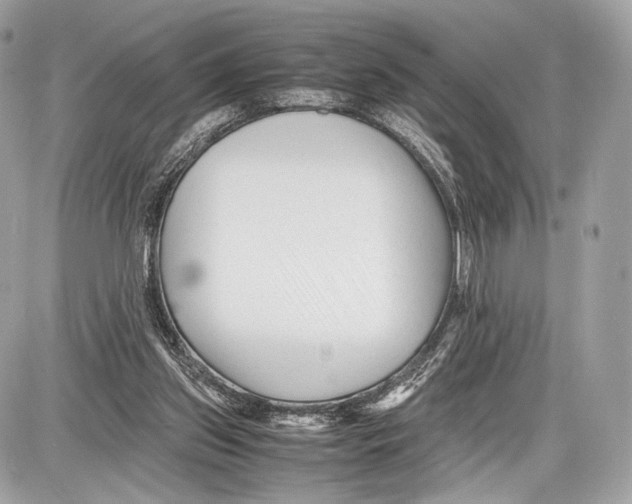 X0000086960157200705141634