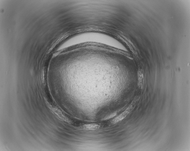 X0000086960158200705141634