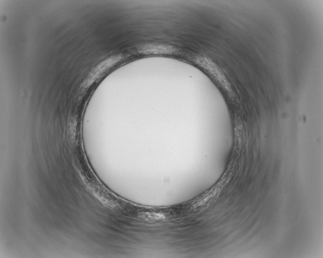 X0000086960159200705141634