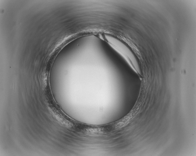 X0000086960160200705141634