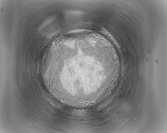 X0000086960161200705141634