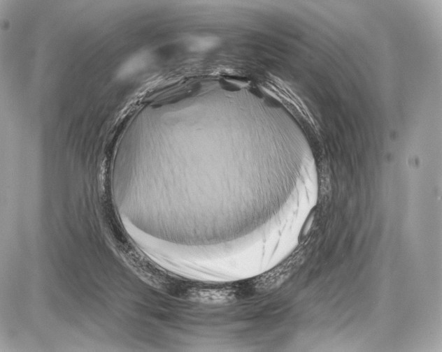 X0000086960163200705141635