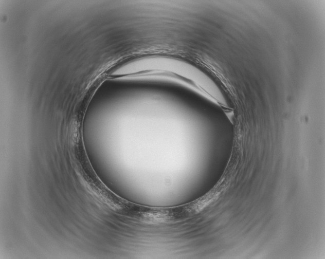 X0000086960164200705141635