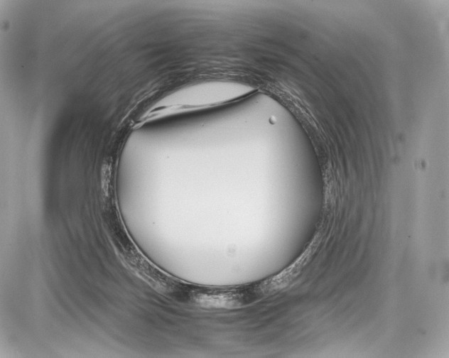 X0000086960171200705141635