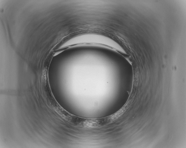 X0000086960172200705141635