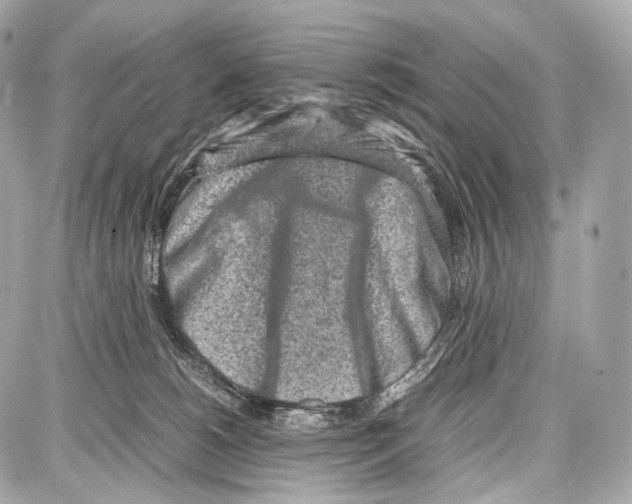 X0000086960180200705141635