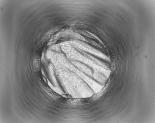 X0000086960186200705141635