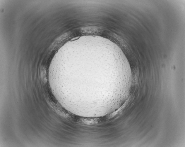 X0000086960187200705141635