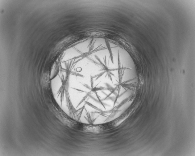 X0000086960189200705141635