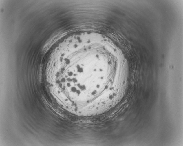 X0000086960194200705141634