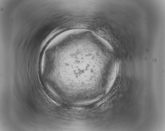 X0000086960195200705141634