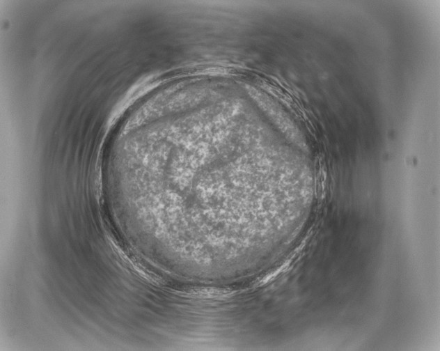 X0000086960198200705141634