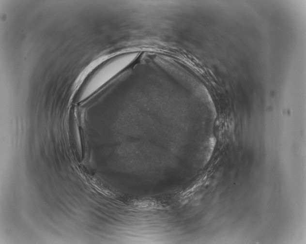 X0000086960200200705141634