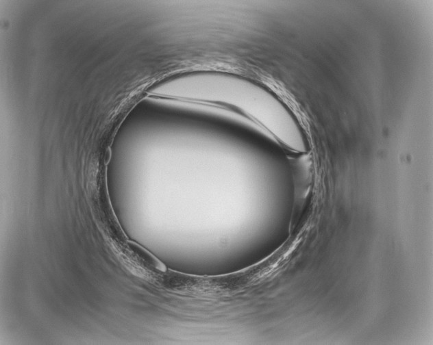 X0000086960201200705141634