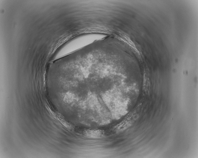 X0000086960202200705141634