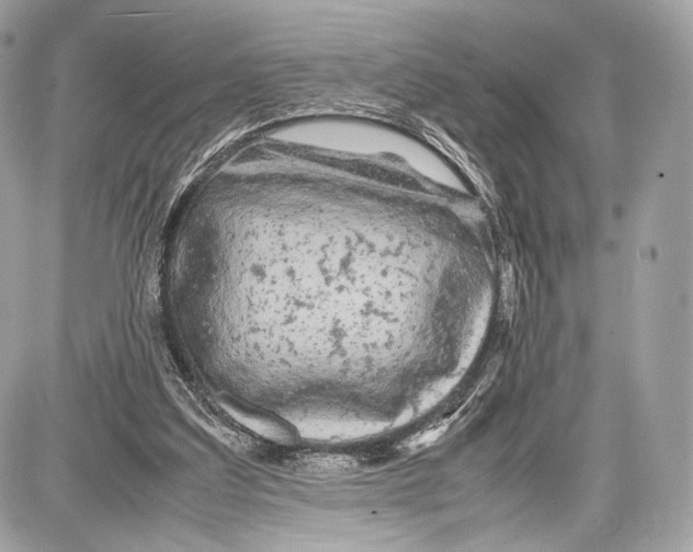 X0000086960203200705141634