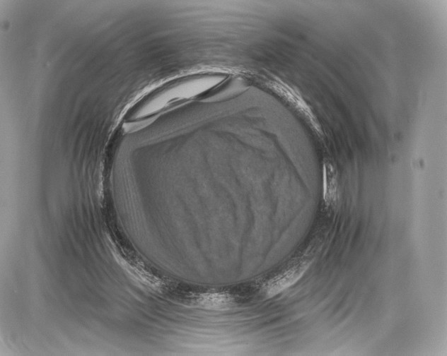 X0000086960204200705141634
