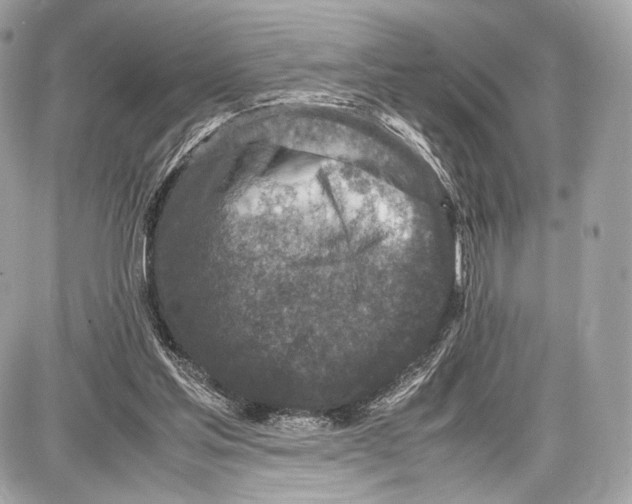 X0000086960205200705141634