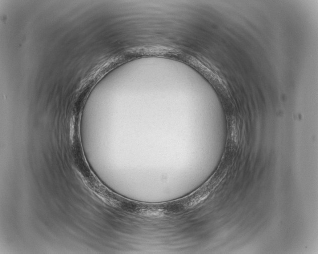 X0000086960206200705141634