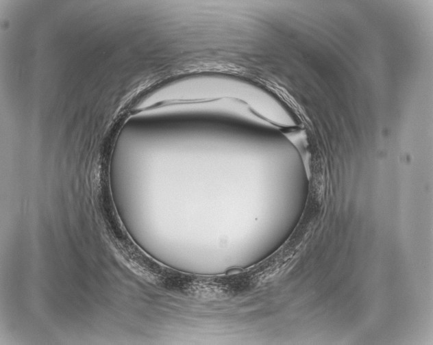 X0000086960207200705141634