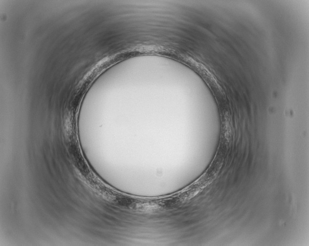 X0000086960208200705141634