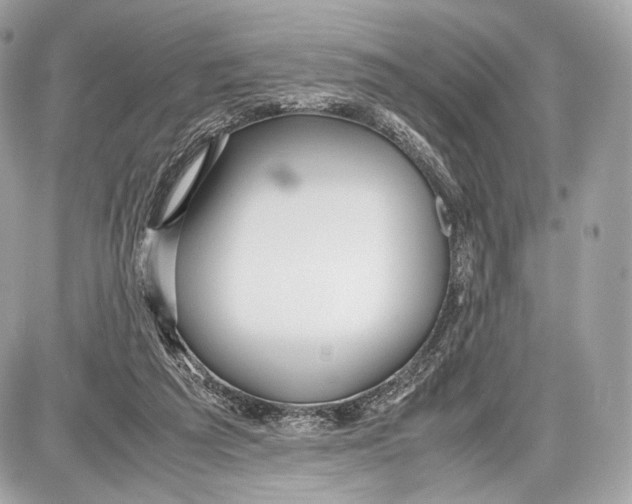 X0000086960209200705141634