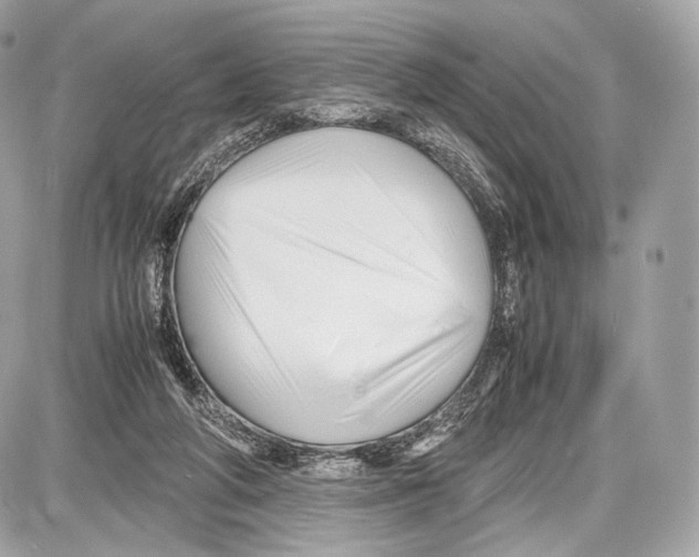 X0000086960210200705141634