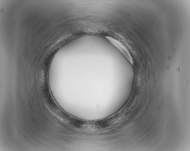 X0000086960211200705141634