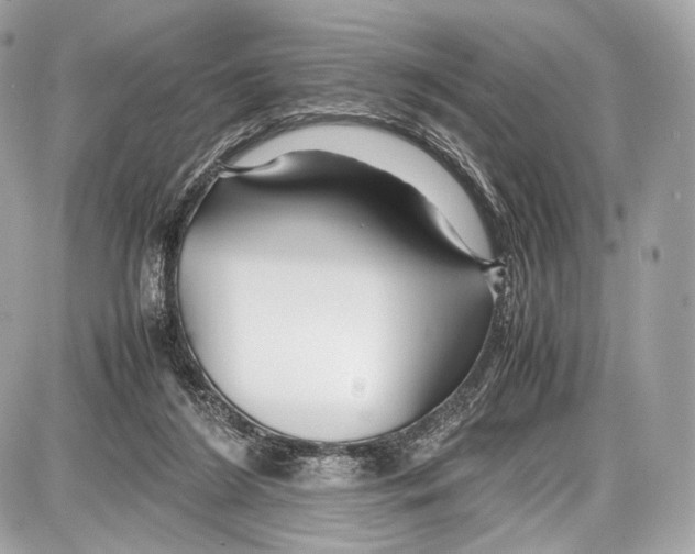 X0000086960212200705141634